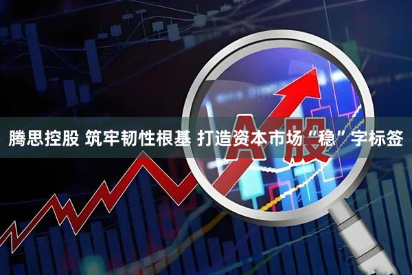 腾思控股 筑牢韧性根基 打造资本市场“稳”字标签